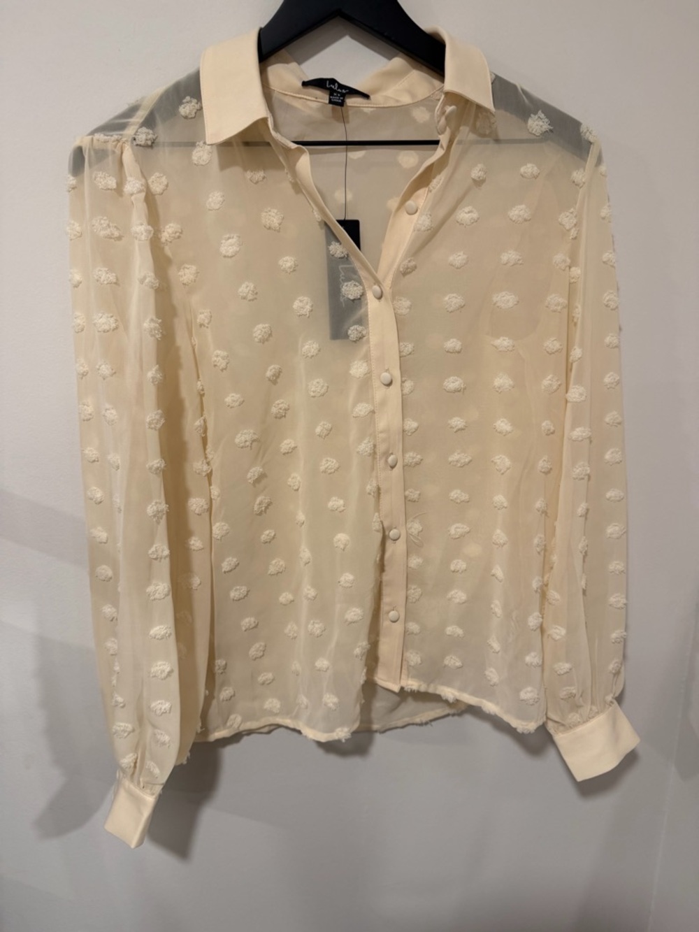 Lulu's Cream Swiss Dot Sheer Button-Up Blouse